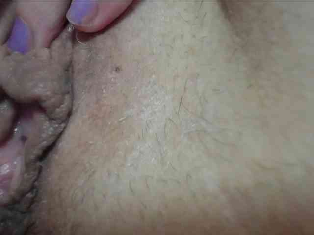 Xollan webcam