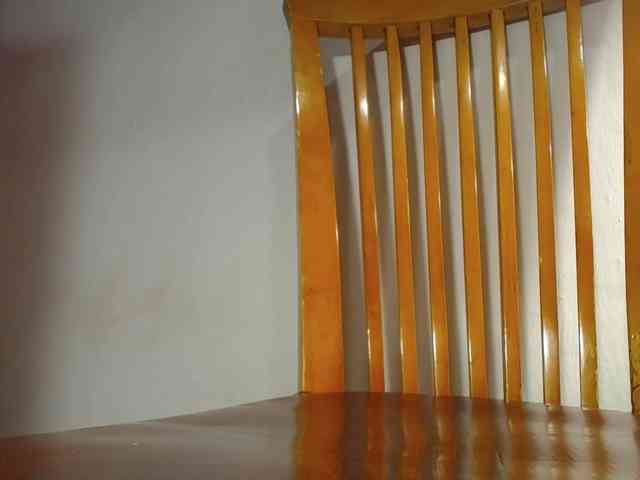 Xollan webcam