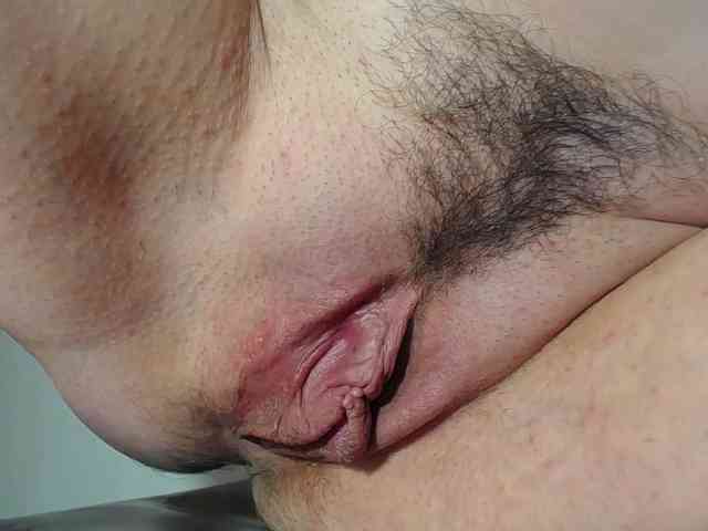 Xollan webcam
