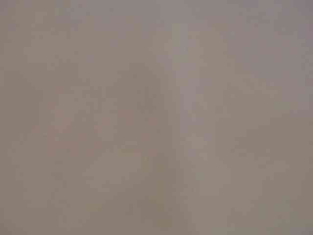 Xollan webcam
