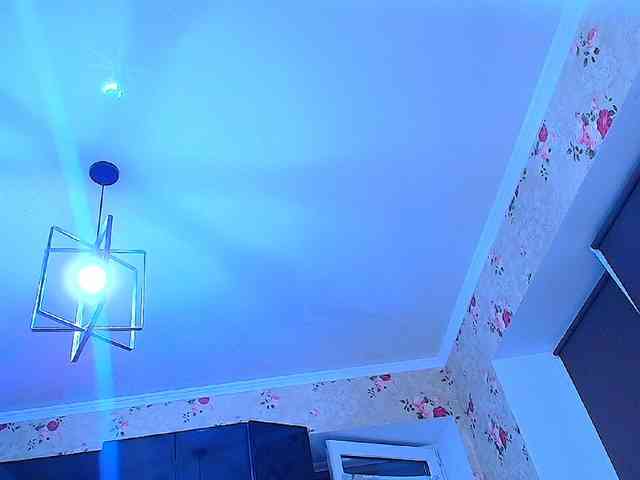Bonita_ webcam