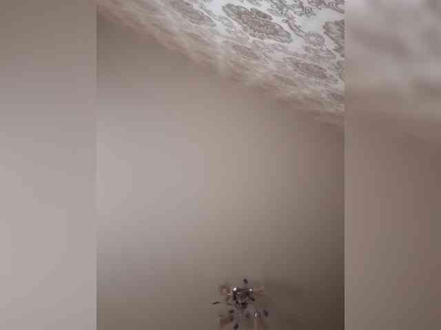 SweetDimond5 webcam