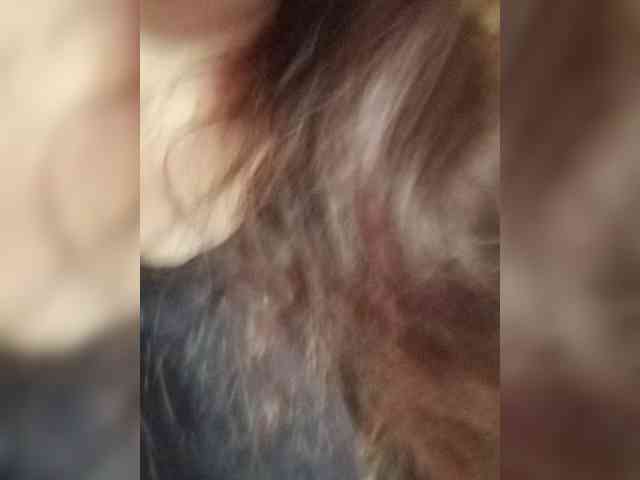 SweetDimond5 webcam