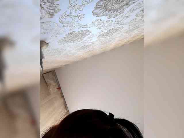 SweetDimond5 webcam