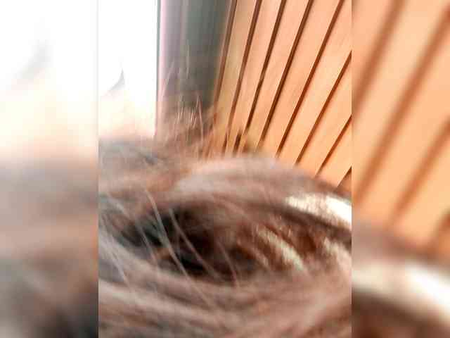 SweetDimond5