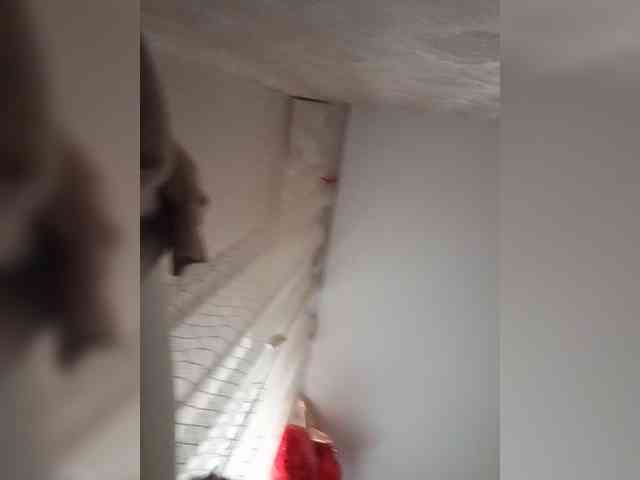 SweetDimond5 webcam