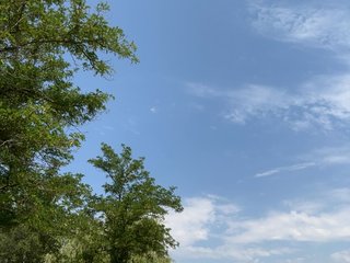 _SKYY_____