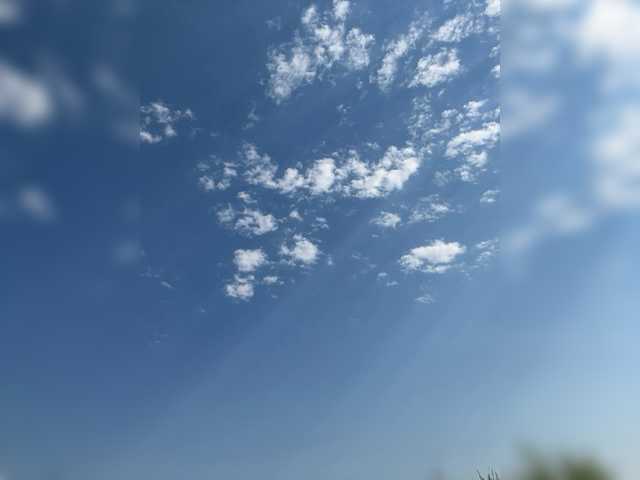 _SKYY_____