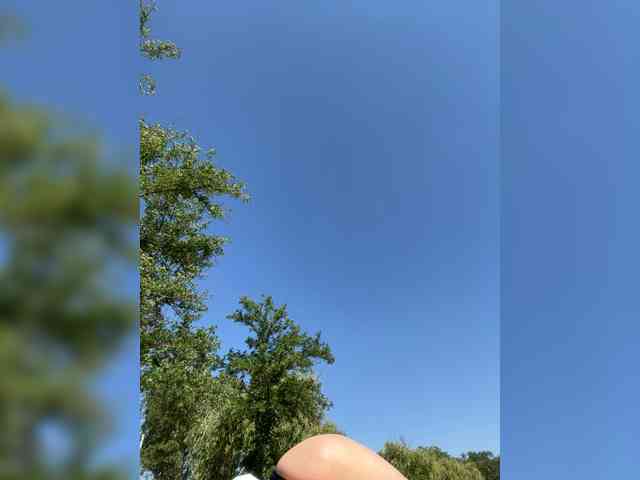 _SKYY_____ webcam
