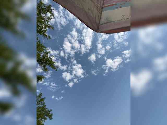 _SKYY_____ webcam