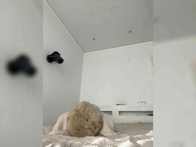 Stellar_111 webcam