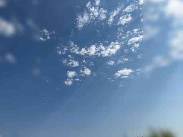 _SKYY_____ webcam