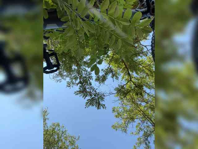 _SKYY_____ webcam