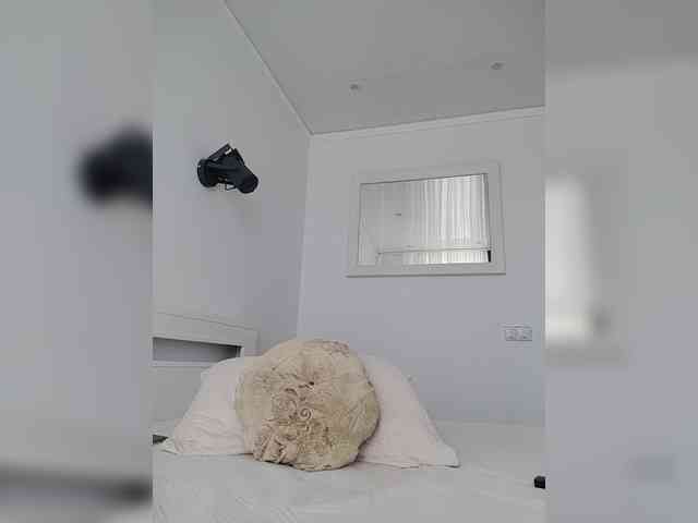 _SKYY_____ webcam