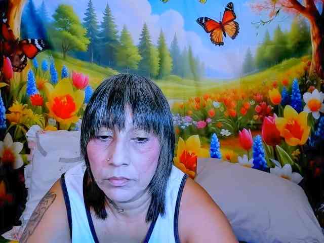 indianroxy