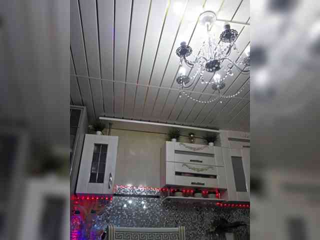 witchdi webcam