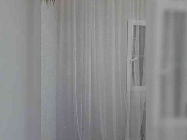 witchdi webcam