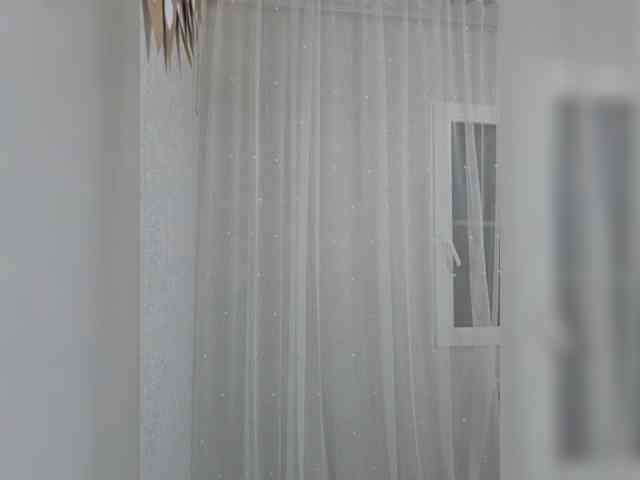 witchdi webcam