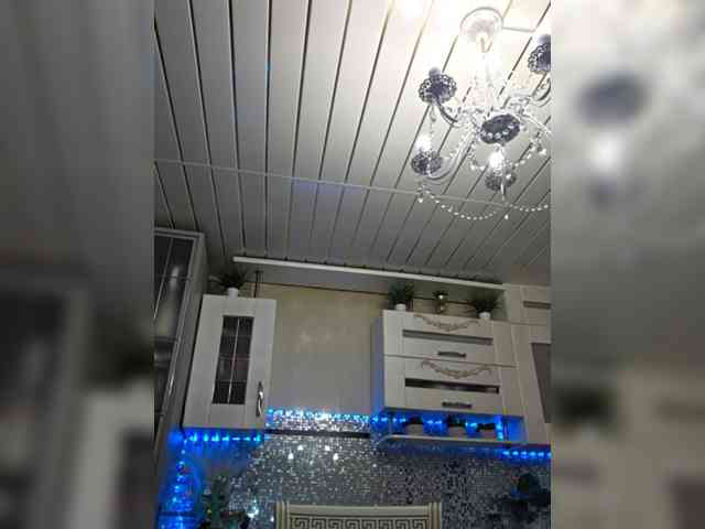 witchdi webcam