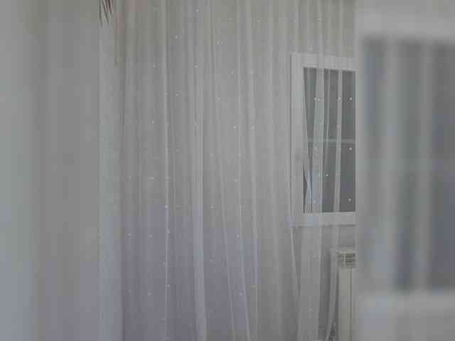 witchdi webcam