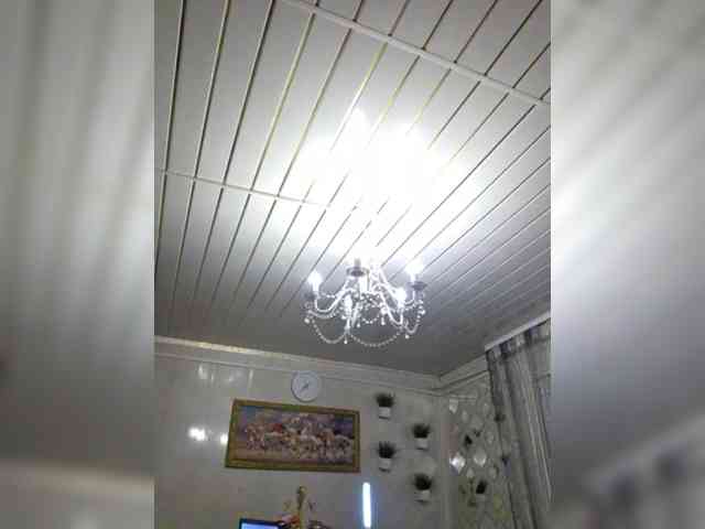 witchdi webcam