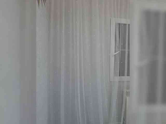 witchdi webcam