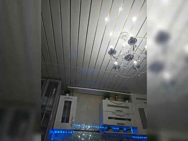 witchdi webcam