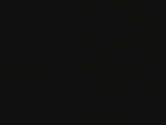 pippalee live cam on BongaCams