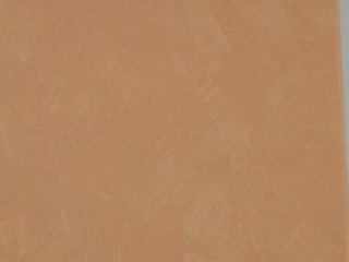 PoshLadyx