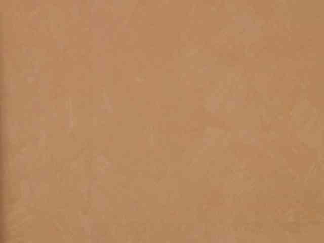PoshLadyx webcam