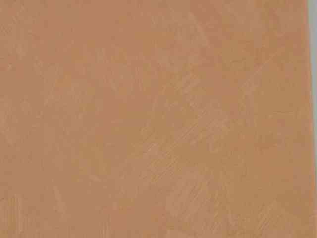 PoshLadyx webcam