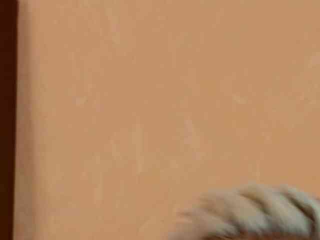Poshladyx's cam show statistics and live stream