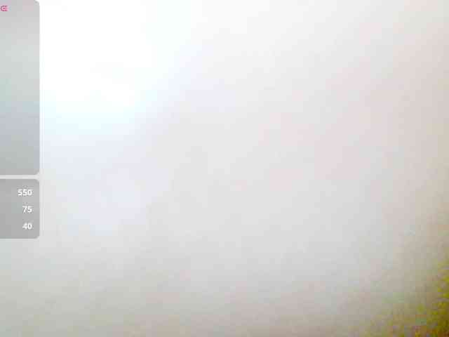 Vikibru webcam