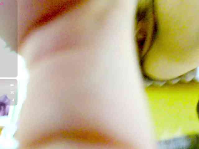 Vikibru webcam