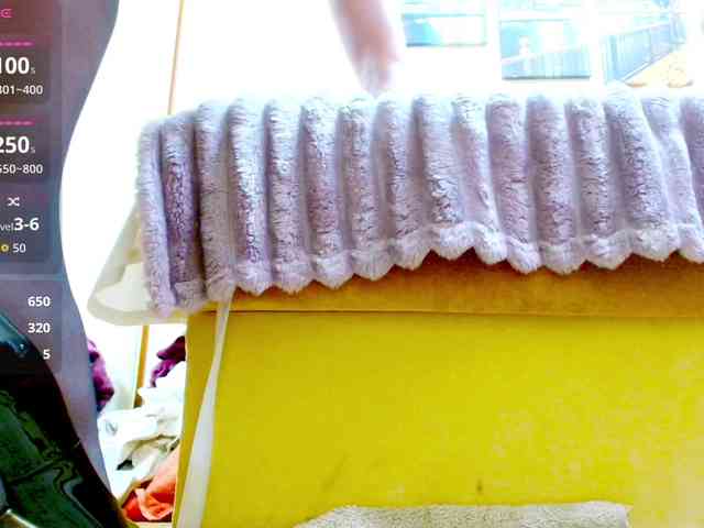 Vikibru webcam