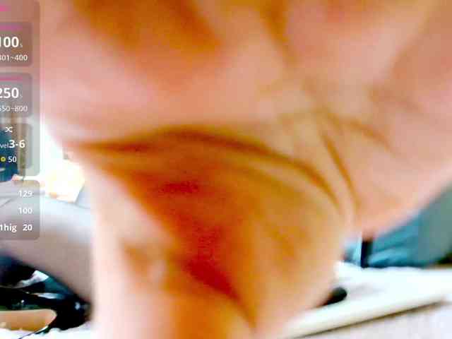 Vikibru webcam