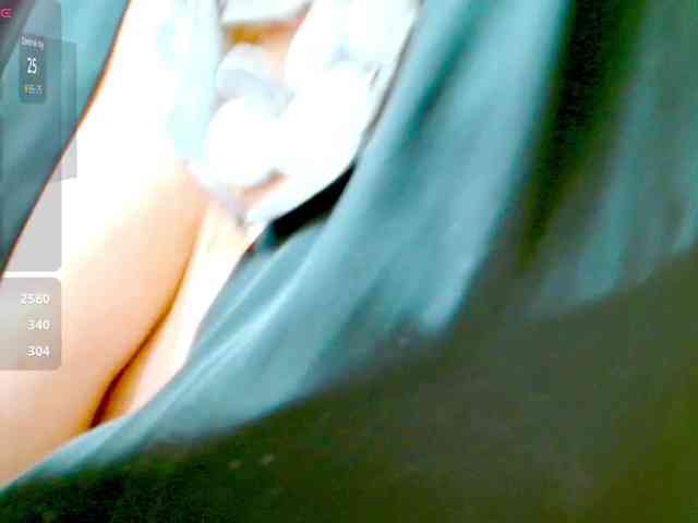 Vikibru webcam