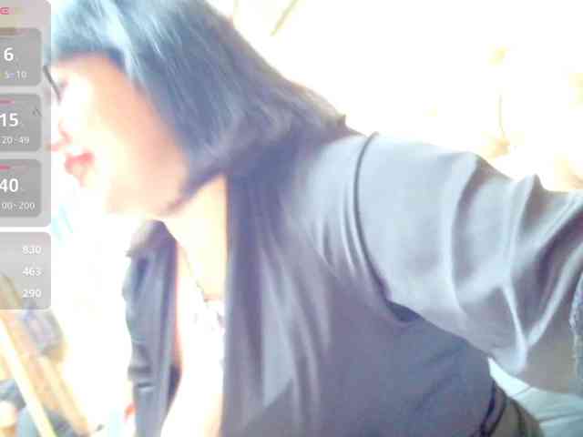 Vikibru webcam