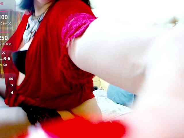 Vikibru webcam