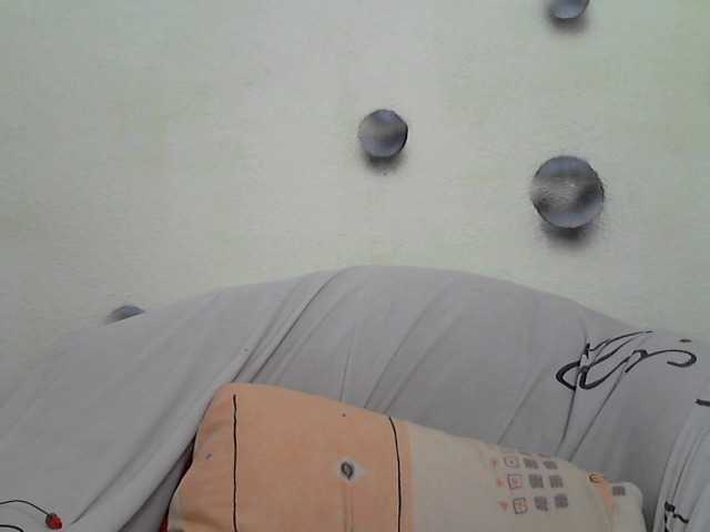 Volna2727 webcam