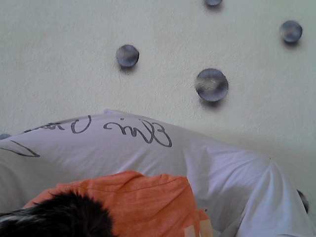 Irinchi live cam on BongaCams