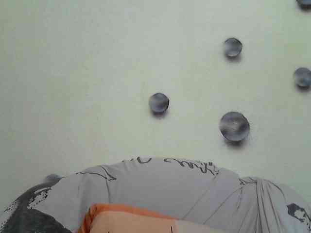 Volna2727 webcam