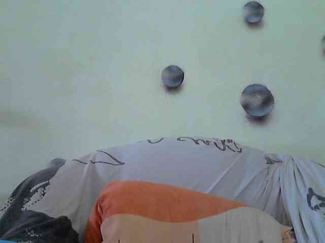 Volna2727 webcam