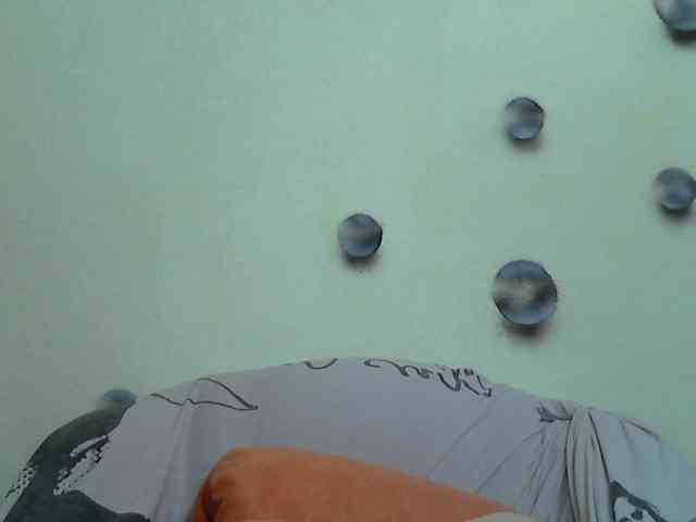 Volna2727 webcam