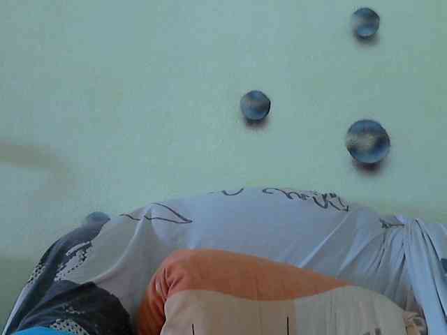 Volna2727 webcam
