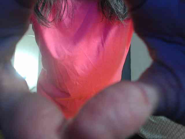 FIXMYASSTOO webcam