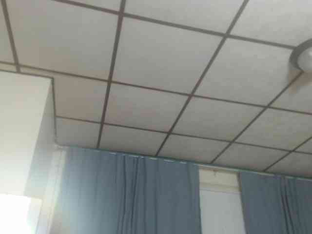 FIXMYASSTOO webcam