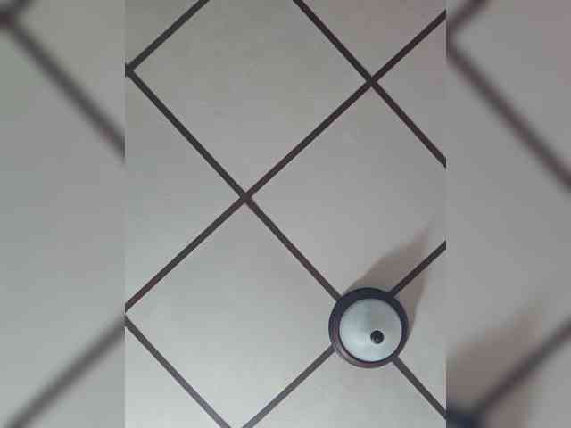 FIXMYASSTOO webcam