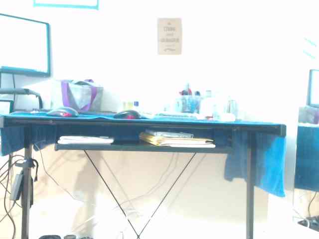 FIXMYASSTOO webcam