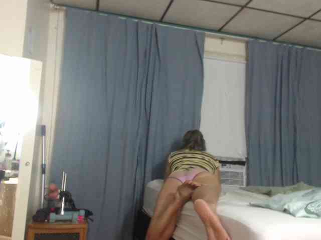 Modelo: FIXMYASSTOO